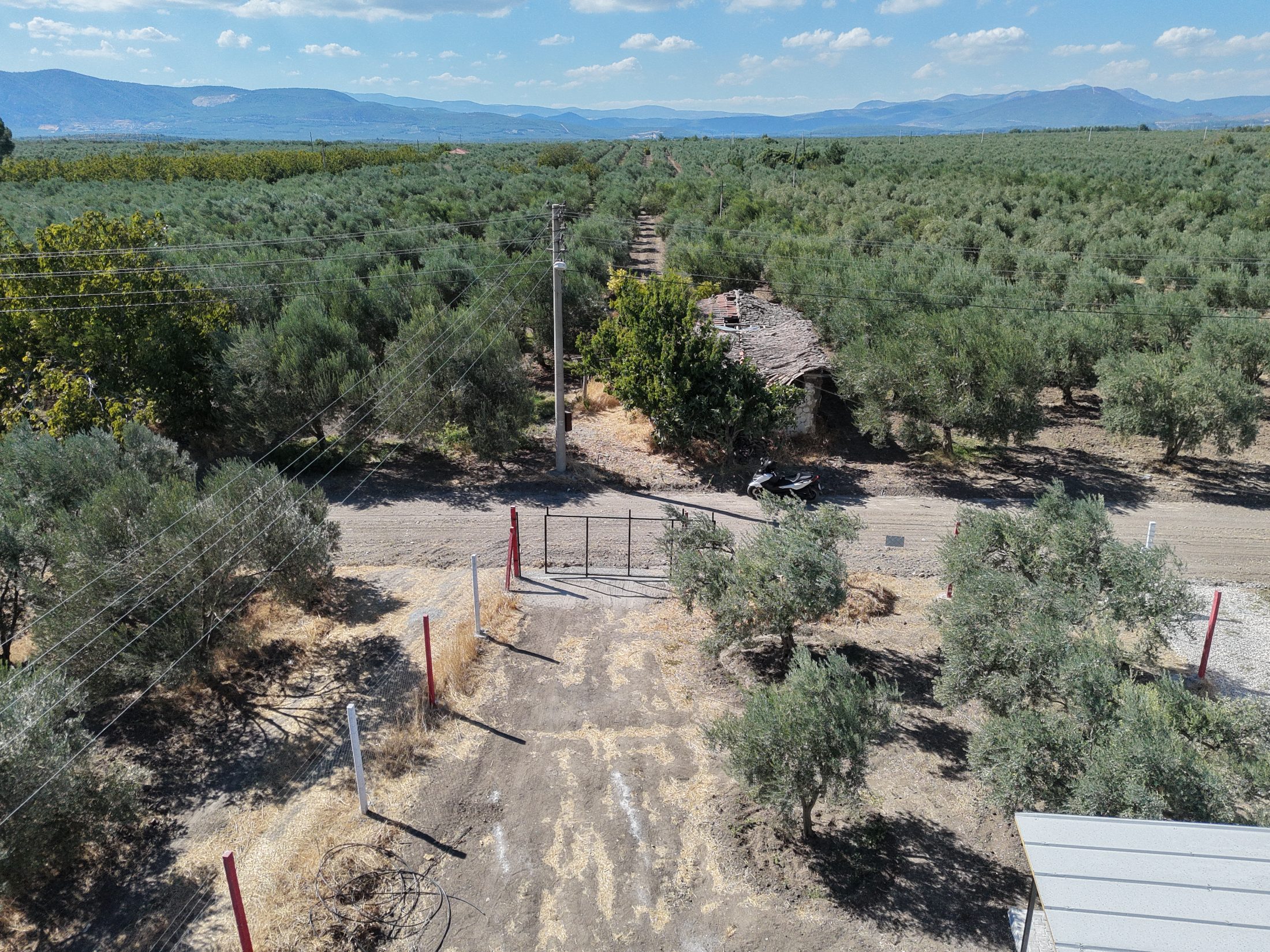 Ballıca Mahallesi Elektrik Su ve Evi Olan 1.500 m² Satılık Bahçe 15