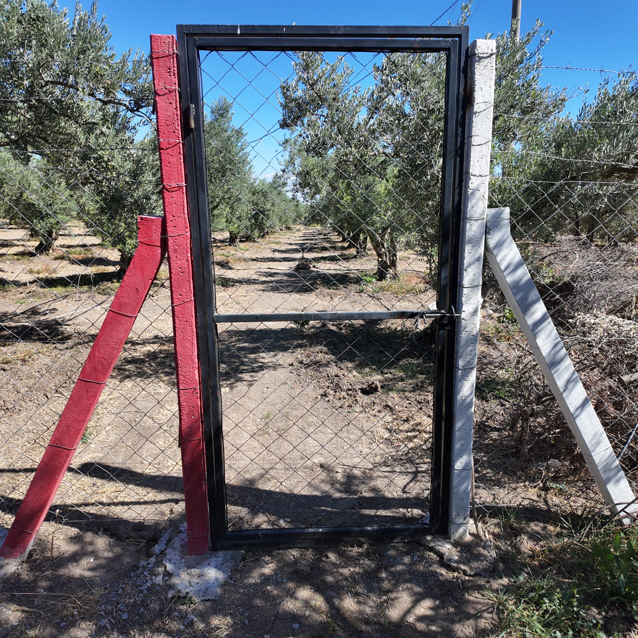 Ballıca Mahallesi Elektrik Su ve Evi Olan 1.500 m² Satılık Bahçe 7