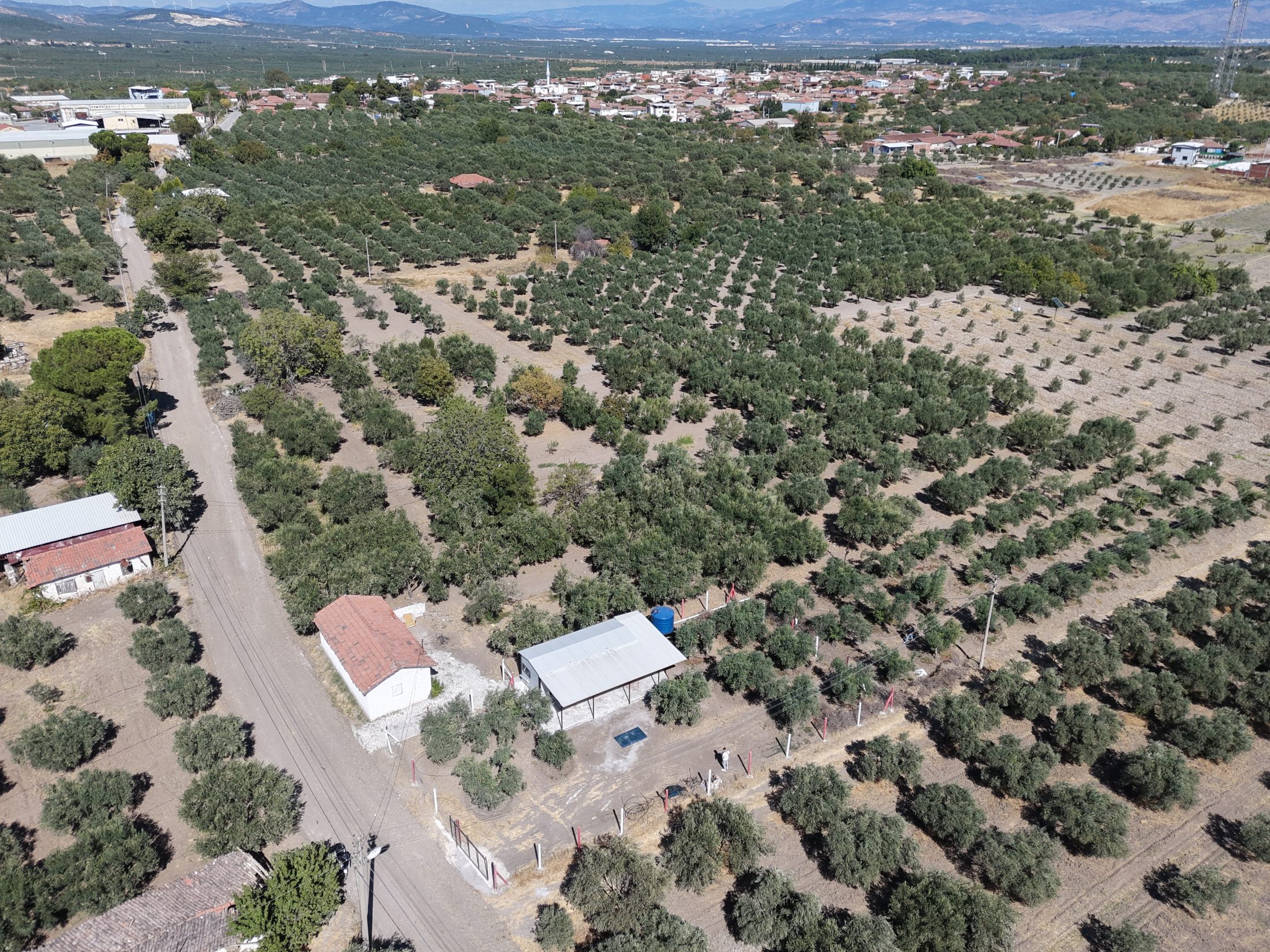 Ballıca Mahallesi Elektrik Su ve Evi Olan 1.500 m² Satılık Bahçe 10