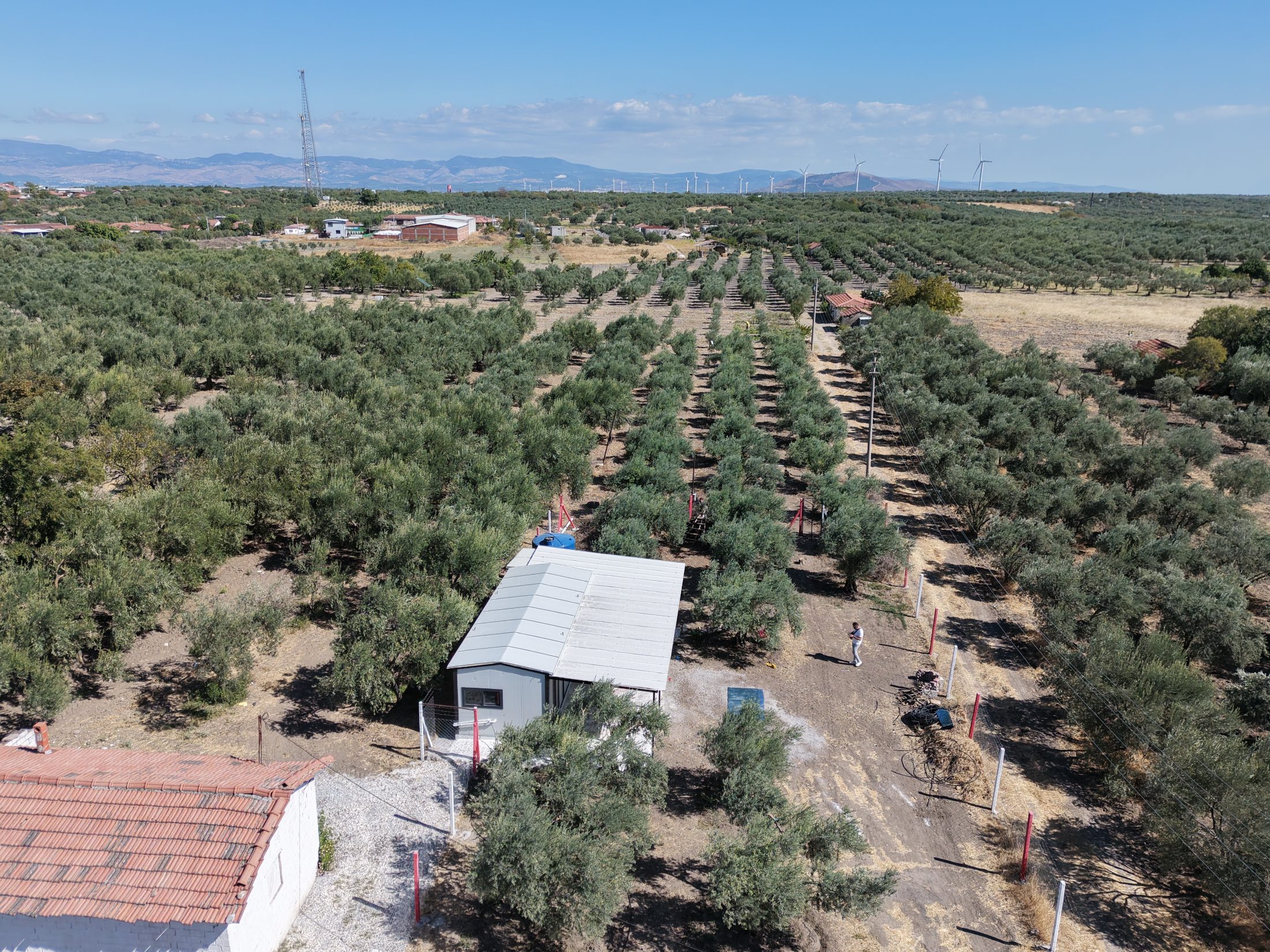Ballıca Mahallesi Elektrik Su ve Evi Olan 1.500 m² Satılık Bahçe 12
