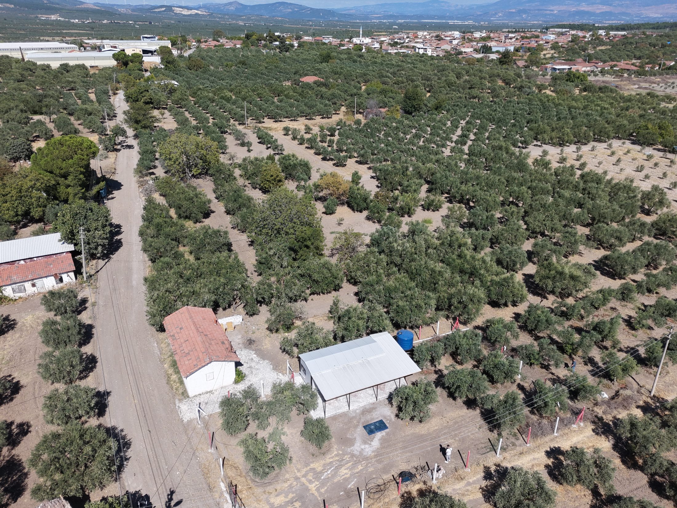 Ballıca Mahallesi Elektrik Su ve Evi Olan 1.500 m² Satılık Bahçe 11