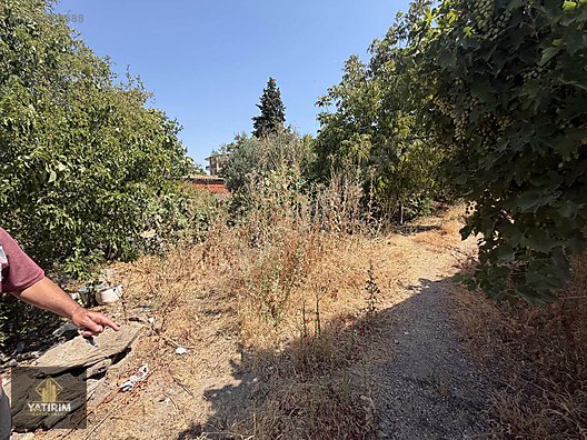 Cumhuriyet Mahallesi'nde Satılık Müstakil Ev ve Bahçesi 13
